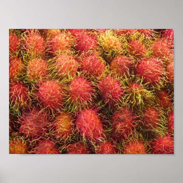 Póster Rambutan Tropical Fruta (Frente)