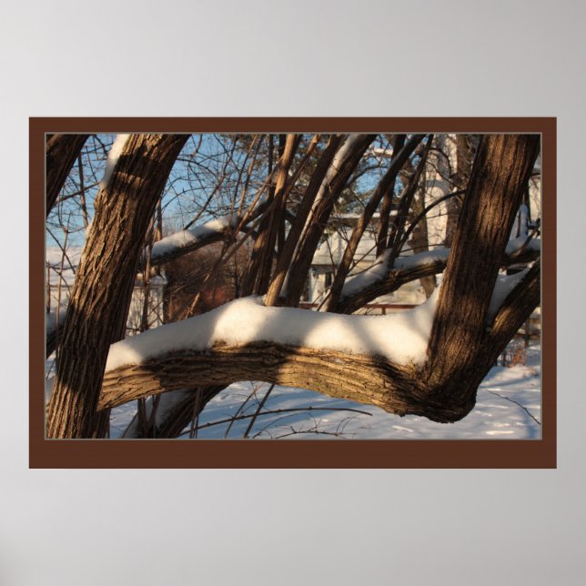 Poster Ramificação Coberta (Frente)