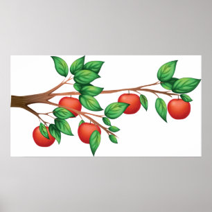 Poster Ramificação da Árvore da Maçã