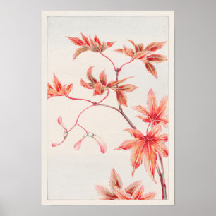 Poster Ramificação da Árvore Mapeada de Momiji por Megata