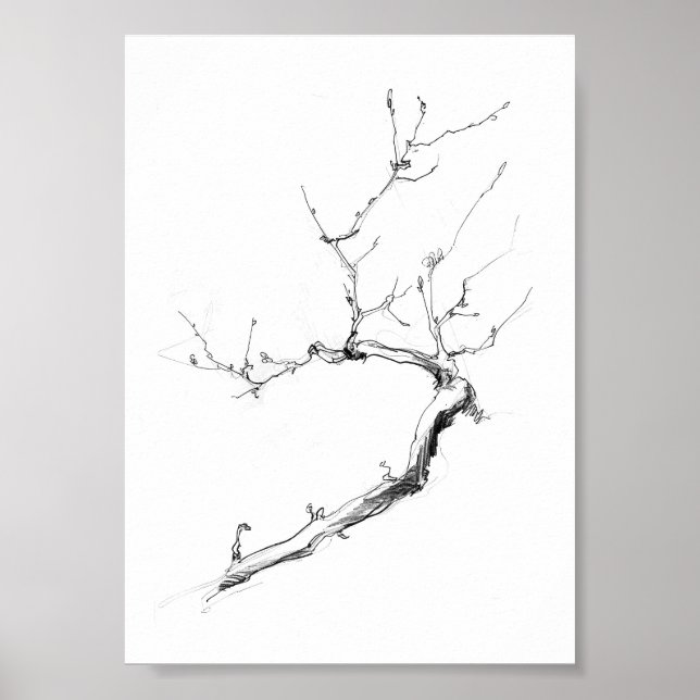 Poster Ramificação de Árvore Delicada Minimalista (Frente)