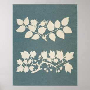 Poster Ramificação de Rosa e Ramificação de Jasmin