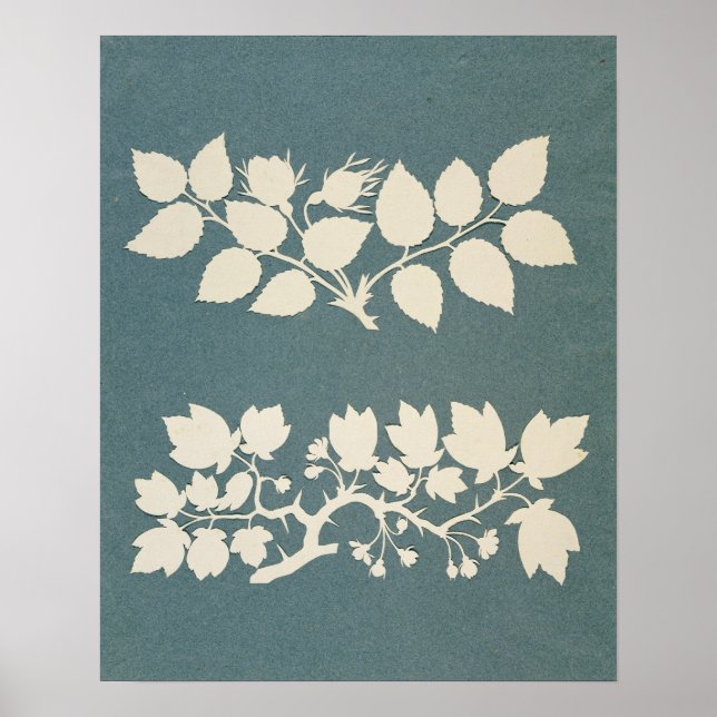 Poster Ramificação de Rosa e Ramificação de Jasmin (Frente)