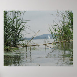 Poster Ramificação em Água Suave