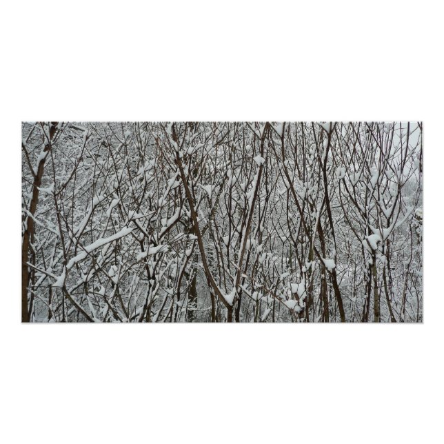 Póster Ramificações cobertas por neve Abstrato de inverno (Frente)