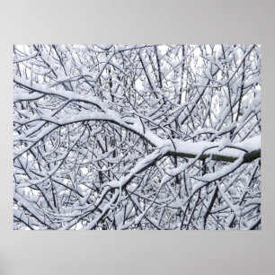 Póster Ramificações de Neve