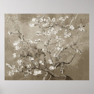 Poster Ramificações de Van Gogh Almond em Bloom - Sepia