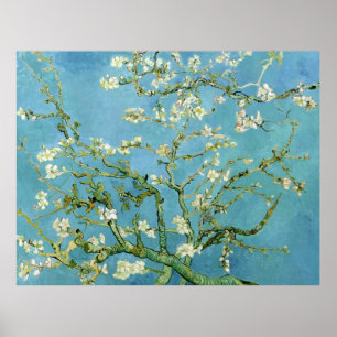 Poster Ramificações do Flor de Amêndoa (F671) Van Gogh