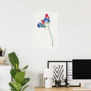 Poster Ramo com duas flores (1714–1760)