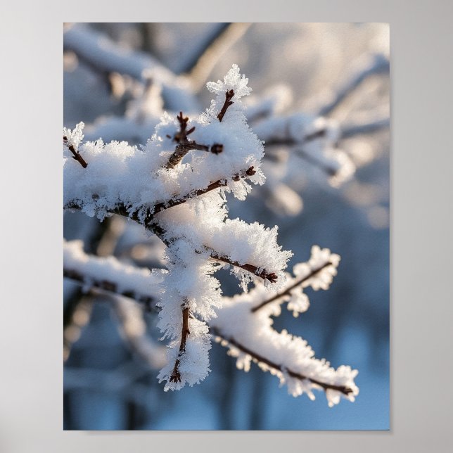 Poster Ramo de Árvore Congelado com Neve de Inverno e Luz (Frente)