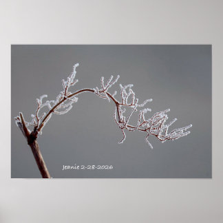 Poster Ramo geado de inverno