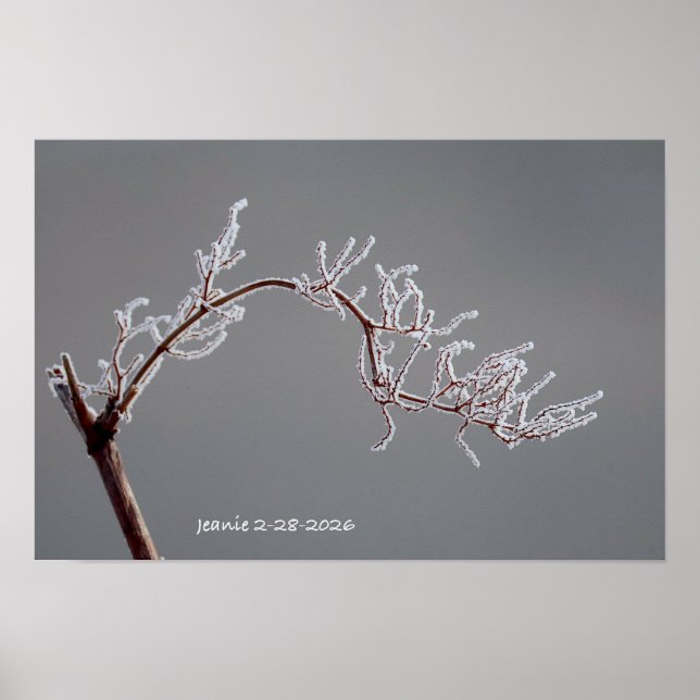 Poster Ramo geado de inverno (Frente)