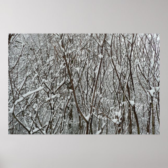 Poster Ramos Cobertos de Neve Inverno (Frente)