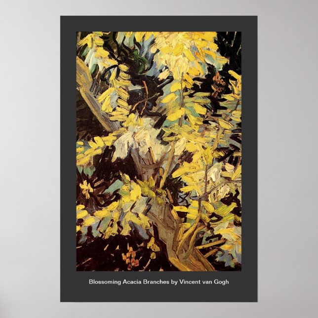 Poster Ramos de Acácia Floridos Vincent van Gogh. (Frente)