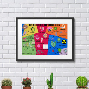 Poster Ramos de biologia