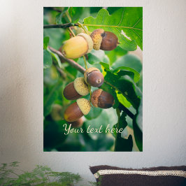 Poster Ramos de carvalho com bolota