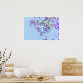 Poster Ramos de Jacarandá em Flor