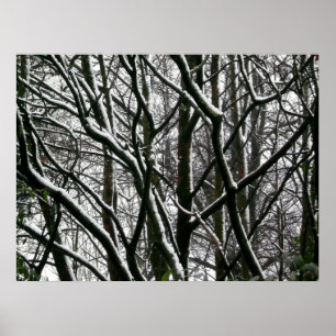 Póster Ramos do inverno