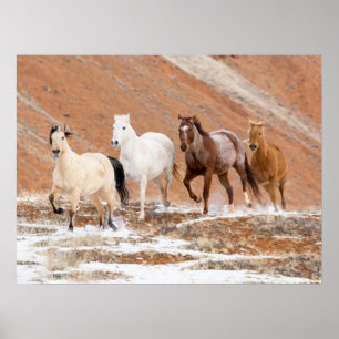 Poster Rancho Hideout com Pequeno Rebanho de Cavalos na N