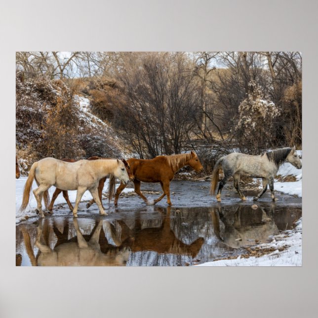 Poster Rancho Hideout Horse (Frente)