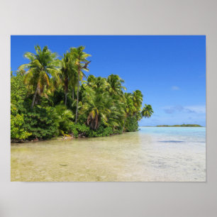 Poster Rangiroa Palm Trees
