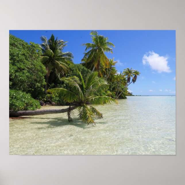 Poster Rangiroa Palm Trees (Frente)