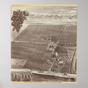 Poster Ranhura da Fruta da Capela