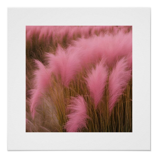 Póster Raparigas Poster de fotografia estética, Pam-Rosa (Frente)