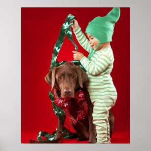 Poster Rapaz pequeno que decora um cão