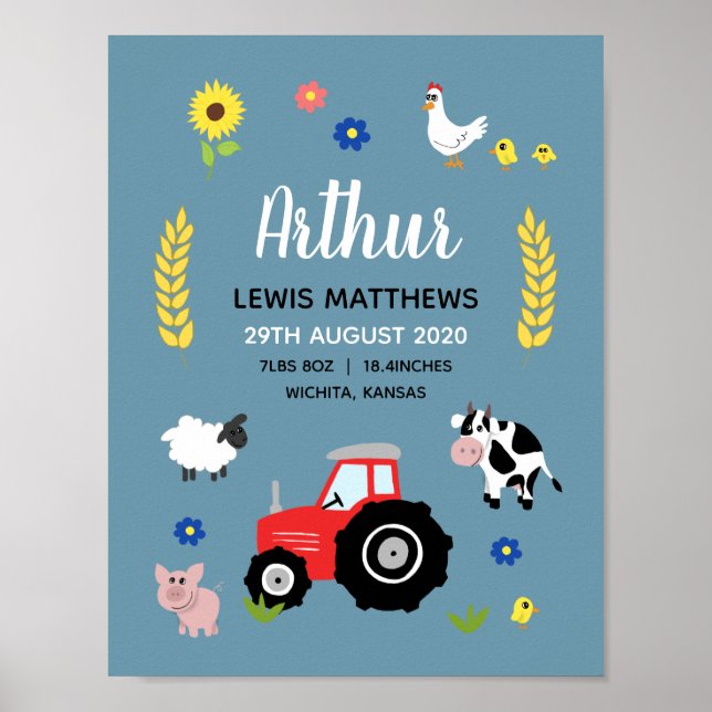 Poster Rapazes, Rústicos, Fazenda De Nascimento, Aposta N (Frente)