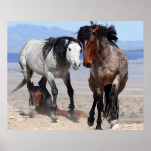 Póster Rápido & furioso