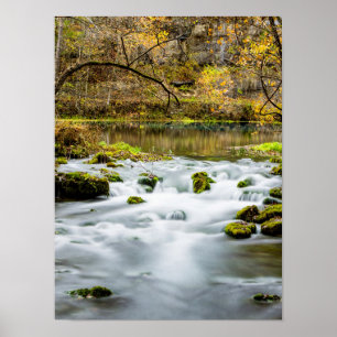 Poster Rapids de Primaveras becos