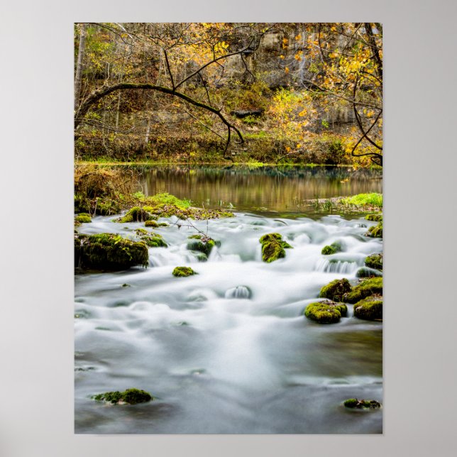 Poster Rapids de Primaveras becos (Frente)