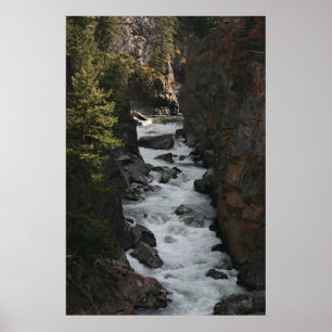 Póster Rapids dentro BC