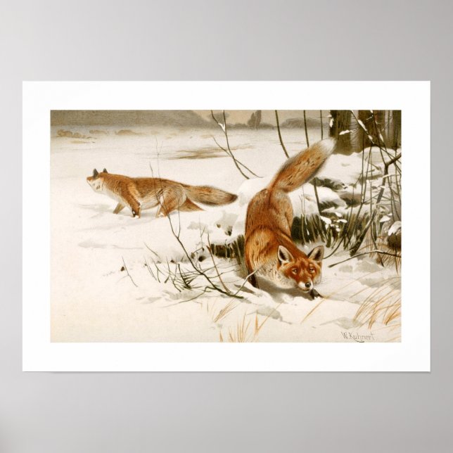 Póster Raposa (Frente)