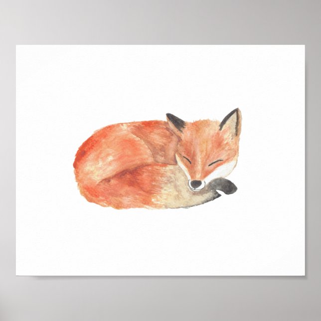 Poster Raposa 1 (Frente)