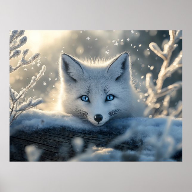 Poster Raposa Árctica com Olhos Azuis Mesmerizados (Frente)