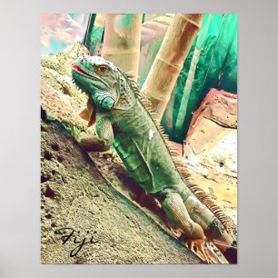 Poster Raposa-de-lagarto Iguana