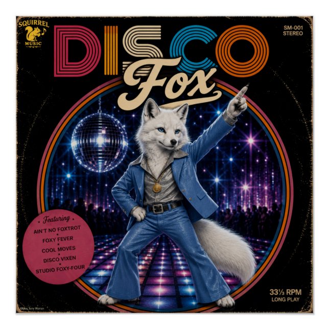 Póster Raposa Disco (Frente)