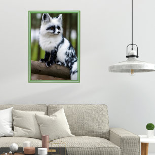 Poster Raposar Marmorizada Canadense