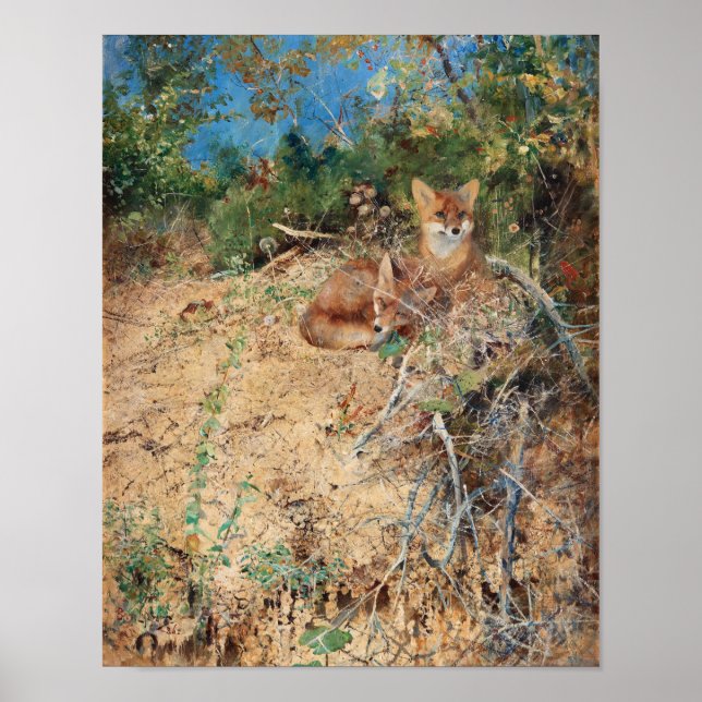 Poster Raposas, Bruno Liljefors (Frente)