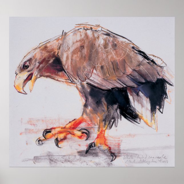 Póster Raptor 2001 (Frente)