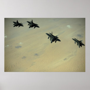 Póster Raptores F-22