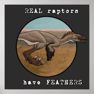 Poster Raptores reais