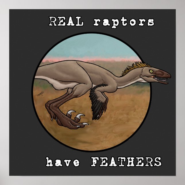 Poster Raptores reais (Frente)