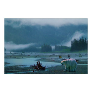 Póster Rare Kermode Bear (Spirit Bear) e Misty River