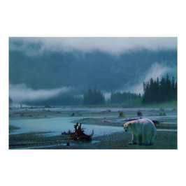 Póster Rare Kermode Bear (Spirit Bear) e Misty River