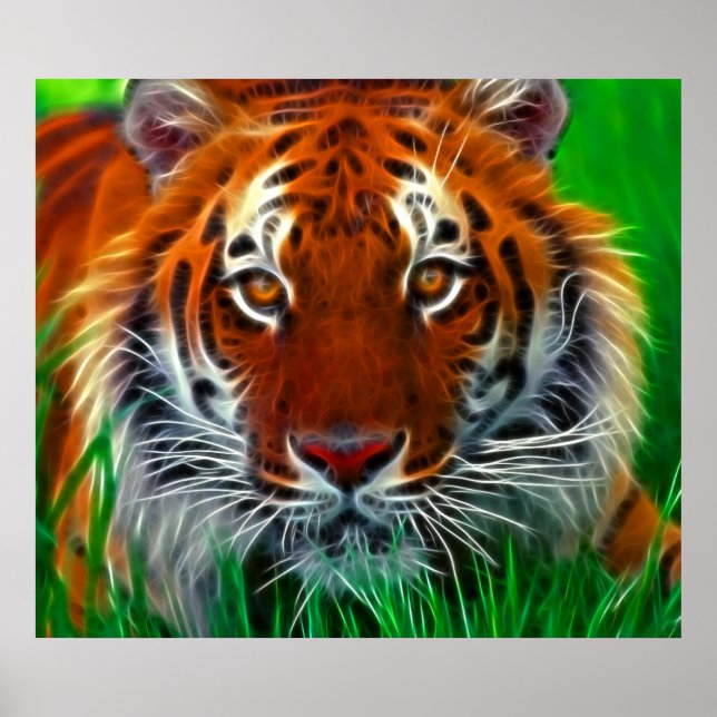 Poster Rare Sumatran Tiger da Indonésia (Frente)