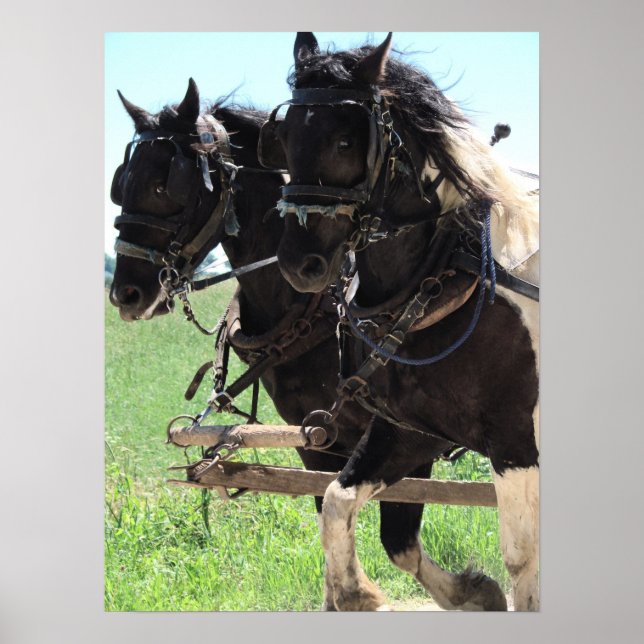 Póster Rascunhos de Pinto no Trabalho (Frente)