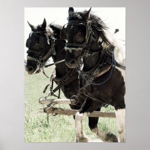 Póster Rascunhos de Pinto no Trabalho